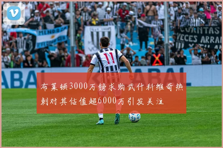 布莱顿3000万镑求购武什科维奇热刺对其估值超6000万引发关注